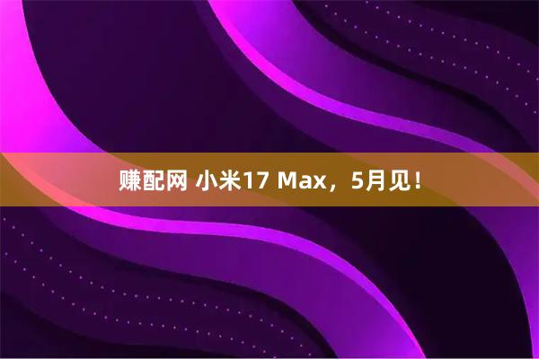 赚配网 小米17 Max，5月见！