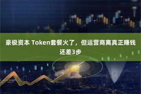 豪极资本 Token套餐火了，但运营商离真正赚钱还差3步
