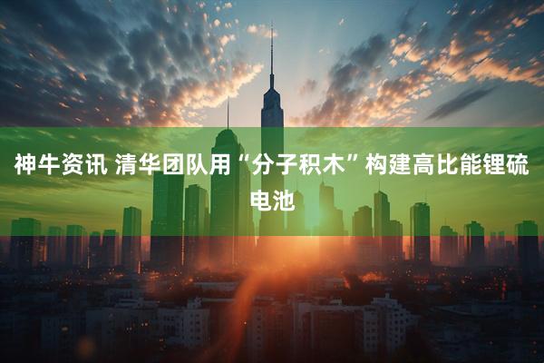 神牛资讯 清华团队用“分子积木”构建高比能锂硫电池